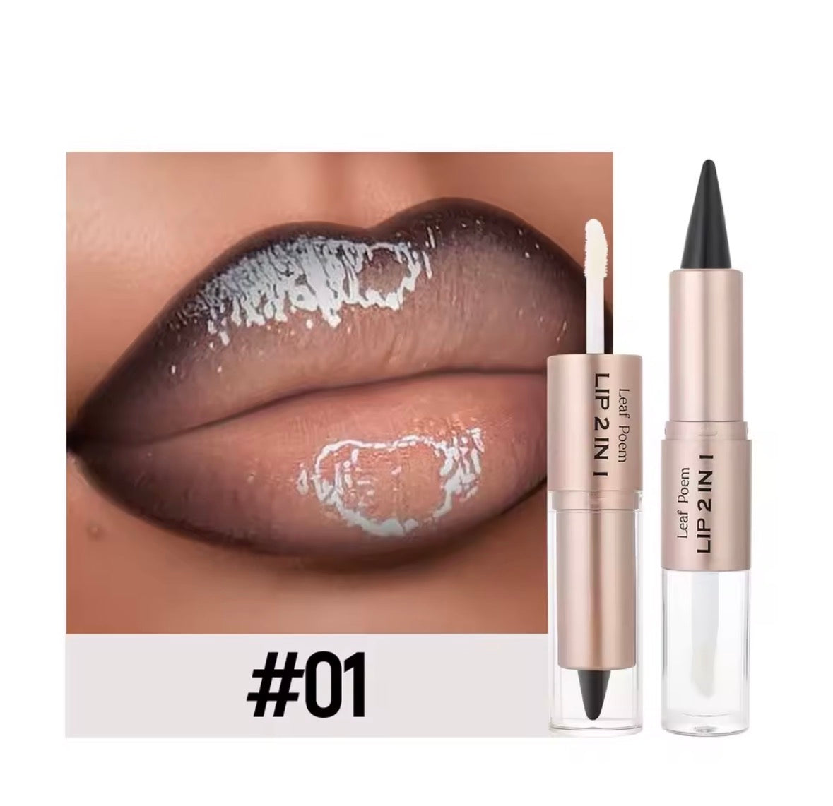 2 IN 1 LIPLINER & LIPGLOSS